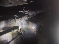 Inspection photo