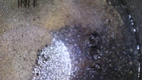 Inspection photo