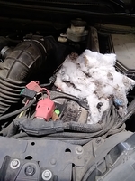 Inspection photo