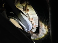 Inspection photo