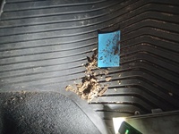 Inspection photo