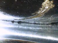 Inspection photo