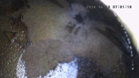Inspection photo