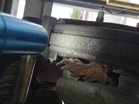 Inspection photo