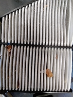Inspection photo