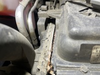 Inspection photo
