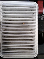 Inspection photo