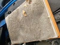 Inspection photo