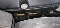 Inspection photo