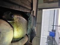 Inspection photo
