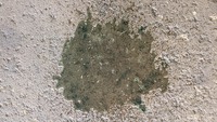 Inspection photo