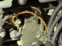 Inspection photo