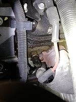Inspection photo