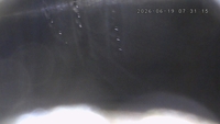 Inspection photo