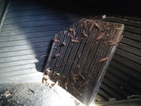 Inspection photo