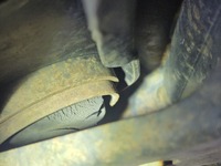 Inspection photo