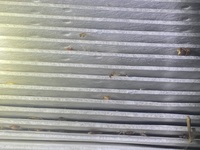 Inspection photo