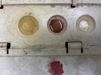 Inspection photo