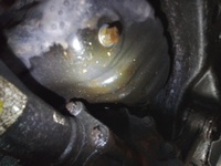 Inspection photo