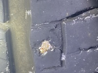 Inspection photo