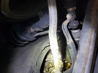 Inspection photo
